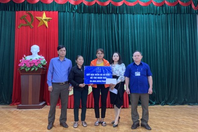 Quỹ Bảo hiểm xe cơ giới hỗ trợ nhân đạo tại Thái Nguyên và Hải Dương
