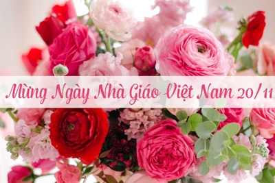 Bộ trưởng Đinh Tiến Dũng gửi thư chúc mừng nhân Ngày Nhà giáo Việt Nam 20/11
