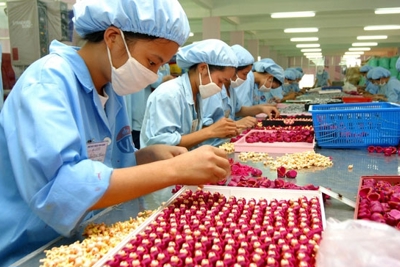 Đề xuất điều kiện doanh nghiệp chế xuất được hưởng chính sách thuế với khu phi thuế quan