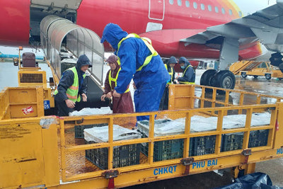 Hàng viện trợ khẩn cấp khắc phục hậu quả thiên tai không chịu thuế