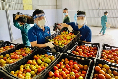  Bình Dương: Thương mại - dịch vụ giữ đà tăng trưởng 