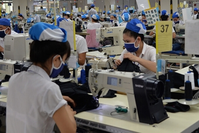 Đẩy nhanh việc gỡ khó cho doanh nghiệp và người lao động chịu tác động bởi COVID-19