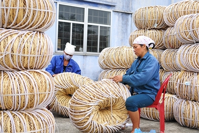 Kinh tế phi chính thức: Cần phân loại để tiếp cận