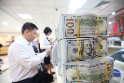  Tỷ giá cuối năm không có... sóng 