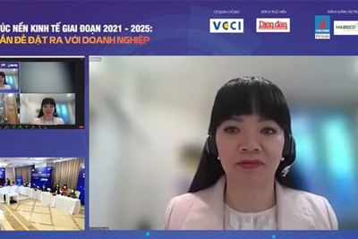  Tái cơ cấu nền kinh tế từ huy động nguồn lực nội tại 