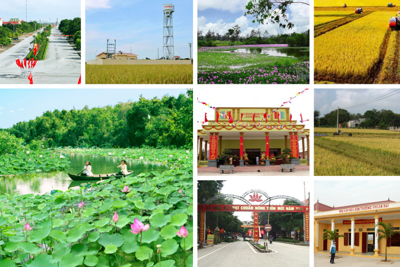 Những nút thắt của tam nông