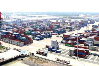  Bà Rịa - Vũng Tàu cụ thể hóa các chỉ tiêu, đảm bảo mục tiêu phát triển bền vững 