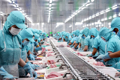 Kim ngạch xuất khẩu thủy sản năm 2021 ước đạt 8,89 tỷ USD