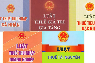 Dự án Luật sửa 5 Luật Thuế: Cải cách hệ thống thuế phù hợp thông lệ quốc tế