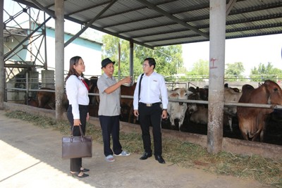 Agribank thúc đẩy hoạt động tài chính vi mô ở Việt Nam