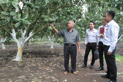 Tạo nguồn sinh khí cho phát triển nông nghiệp và nông thôn