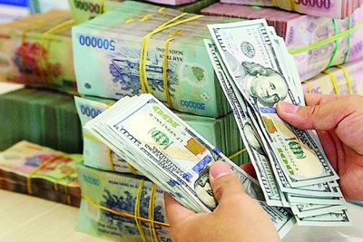 Kho bạc Nhà nước công bố tỷ giá hạch toán ngoại tệ tháng 04/2021