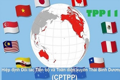 Tận dụng CPTPP để thâm nhập các thị trường khó tính là không dễ