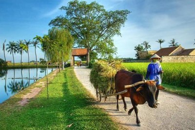 Xây dựng nông thôn mới ở một số nước châu Á và gợi ý chính sách cho Việt Nam