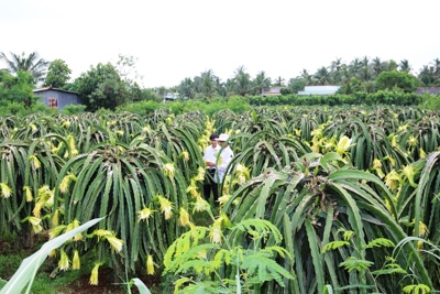 Agribank cùng ngành Ngân hàng viết tiếp những trang sử hào hùng, vẻ vang
