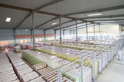 Công cụ 5S giúp Công ty Cổ phần Elovi Việt Nam nâng cao hiệu quả sản xuất, tiết kiệm chi phí