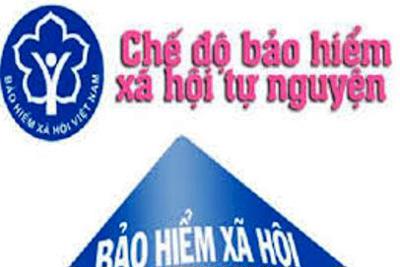 Mở rộng diện bảo hiểm xã hội tự nguyện đối với khu vực phi chính thức tại Việt Nam