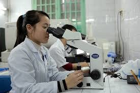 Đến 2025, tiếp tục giảm tối thiểu 10% đơn vị sự nghiệp công lập