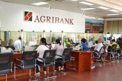 Agribank tiếp tục mở rộng cho vay lĩnh vực nông nghiệp, nông thôn 