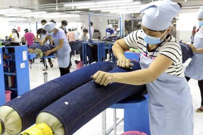 Điểm nhấn trong thúc đẩy năng suất chất lượng tại các địa phương 
