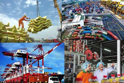 Tham vấn chuyên gia về các nội dung xây dựng Văn kiện Đại hội Đảng khóa XIII