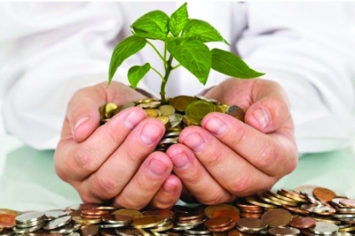 Agribank hướng tín dụng vào lĩnh vực năng lượng xanh, sạch