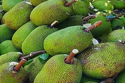 Khó xuất khẩu sang Trung Quốc, trái cây Tiền Giang rớt giá