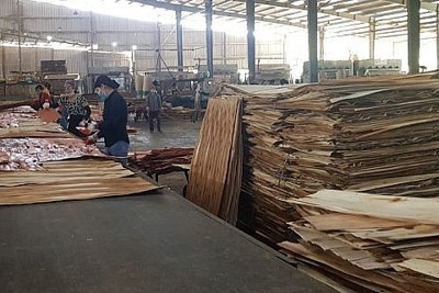 Cần có biện pháp hạn chế các rủi ro trong luồng gỗ nhập khẩu