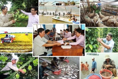 Phát triển kinh tế tập thể trong bối cảnh mới
