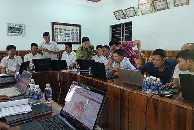  Đột phá trong cải cách hành chính lĩnh vực ngành lâm nghiệp