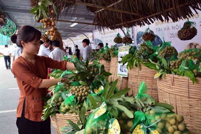 Phát triển thương hiệu nhãn lồng Hưng Yên tại Hà Nội 