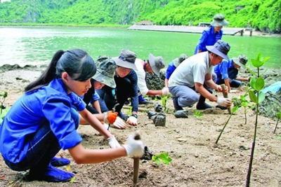 Thiết lập và vận hành Hệ thống giám sát và đánh giá hoạt động thích ứng với biến đổi khí hậu