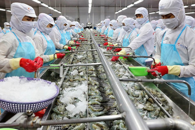 Những nhóm ngành dẫn đầu xu hướng phục hồi sau đại dịch