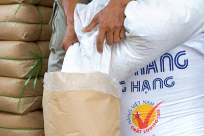 Đấu giá hạn ngạch thuế quan nhập khẩu đường bảo đảm quyền lợi hợp pháp của các thương nhân