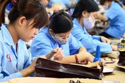 Hướng dẫn lập, gửi hồ sơ kiến nghị khởi tố về tội gian lận BHXH, BHYT 