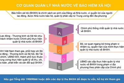 [Infographics] Cơ quan quản lý Nhà nước về BHXH
