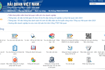 Hơn 700 doanh nghiệp đăng ký sử dụng phần mềm khai hải quan miễn phí