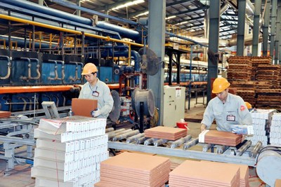 Khu vực kinh tế tư nhân đang phải đối mặt với nhiều rào cản