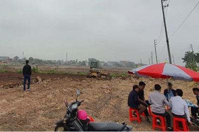 Đất quê đấu giá cao chót vót, có nơi giá lên gấp 10 lần