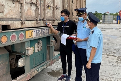 Hướng dẫn doanh nghiệp khai báo, cập nhật hồ sơ các lô hàng tái xuất