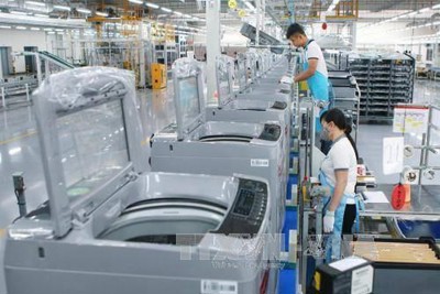 Sẽ hình thành 20 doanh nghiệp áp dụng công cụ nâng cao năng suất đến cuối năm 2020 