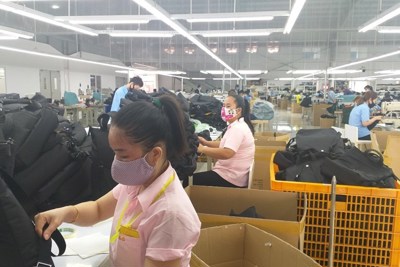 Hỗ trợ 40 doanh nghiệp áp dụng các hệ thống quản lý chất lượng, công cụ cải tiến sản xuất