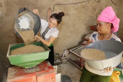 Nâng cao hiệu quả công tác giảm nghèo tại vùng kinh tế trọng điểm phía Nam