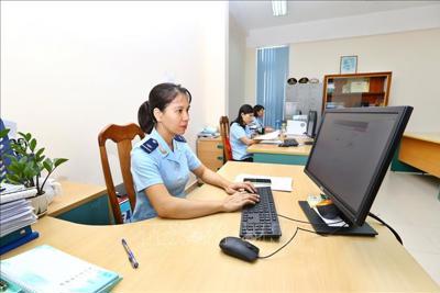 Cục Hải quan Quảng Bình thu ngân sách đạt hơn 78,4 tỷ đồng