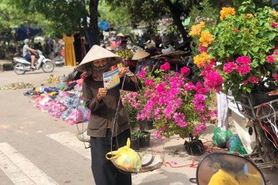Phát triển BHXH tự nguyện: Cần vận dụng sáng tạo các giải pháp phù hợp với thực tiễn