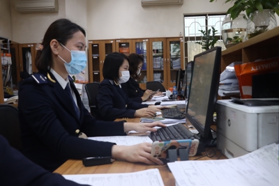 Cục Hải quan Hải Phòng thu ngân sách đạt 39,62% dự toán