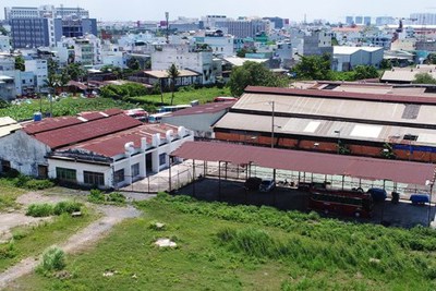 Lập phương án sử dụng đất khi cổ phần hóa đối với các công ty nông, lâm nghiệp 