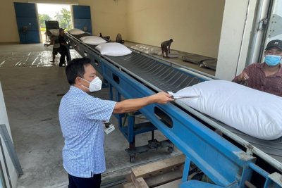 Siết chặt quản lý, điều hành việc mua, bán, nhập xuất và bảo quản hàng DTQG