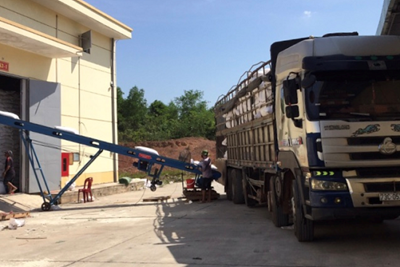 Hoàn thành mua nhập kho 190.000 tấn gạo dự trữ quốc gia trước thời hạn