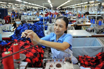 Chi trên 36 tỷ đồng cho Dự án năng suất và chất lượng sản phẩm hàng hóa
